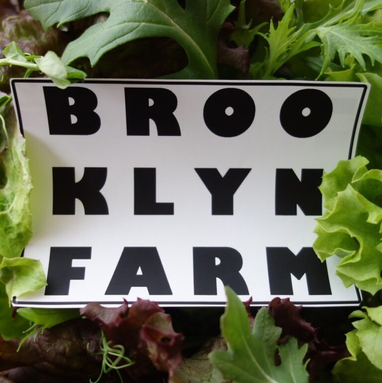 Brooklyn Farm logo 768x769