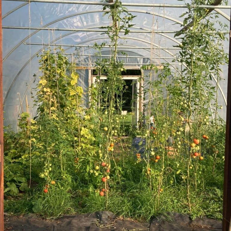 Coolree Cottage Farm 1636837218 768x768