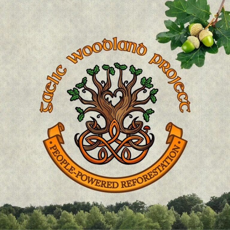Gaelic Woodland Project 768x768
