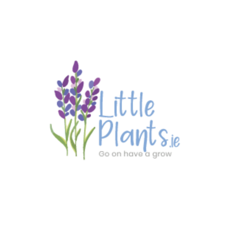Little Plants 768x768