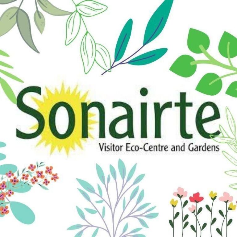Sonairte 1647348540 768x768
