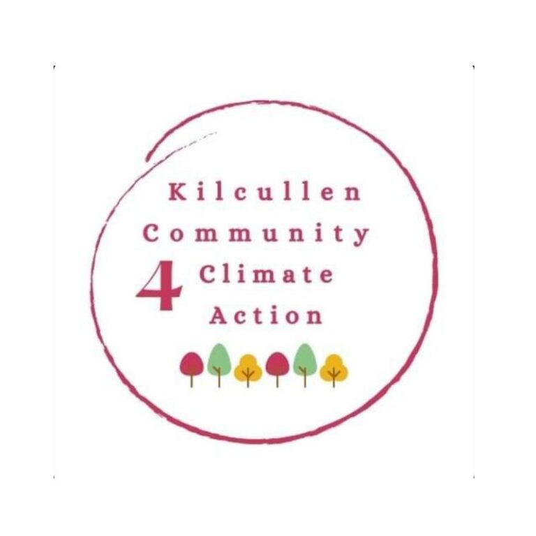 kilcullen community 4 climate action 1643632008 768x768
