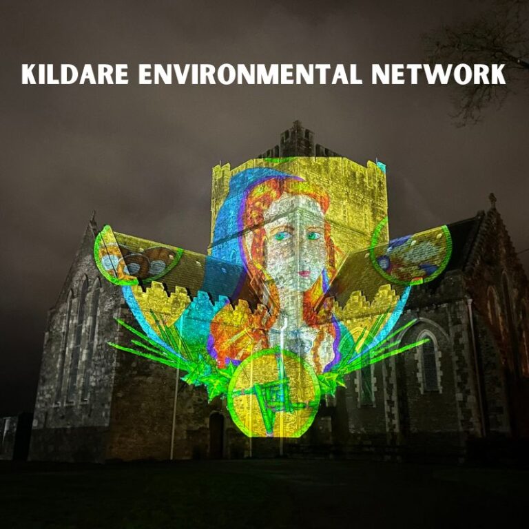 kildare environmental network 1648651163 768x768