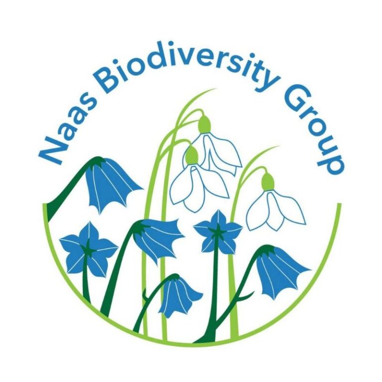 naas biodiversity group 1667777562 768x768